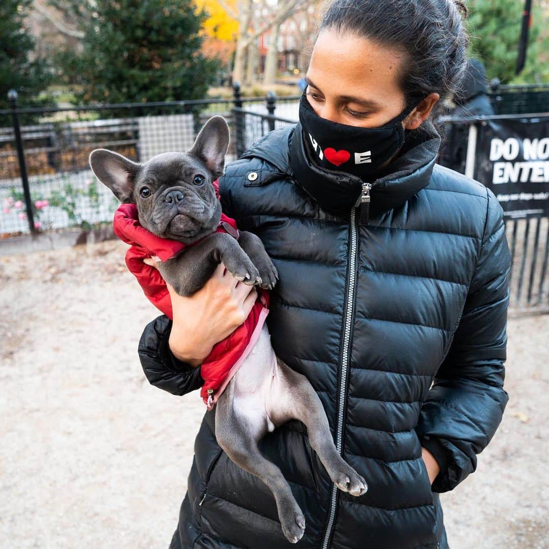 The Dogistさんのインスタグラム写真 - (The DogistInstagram)「Ruby, French Bulldog (4 m/o), Washington Square Park, New York, NY • “She full zooms around the apartment and sleeps fully on her back. She’s obsessed with space heaters – as soon as she gets back she runs to the heater to thaw.”」12月4日 7時48分 - thedogist