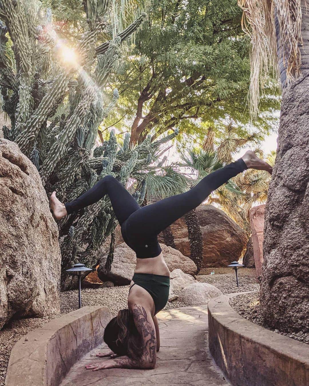 ALO Yogaさんのインスタグラム写真 - (ALO YogaInstagram)「Could you hold this pose? 🤸‍♀️✨ @lyss_yoga #pinchamayurasana」12月4日 8時05分 - aloyoga