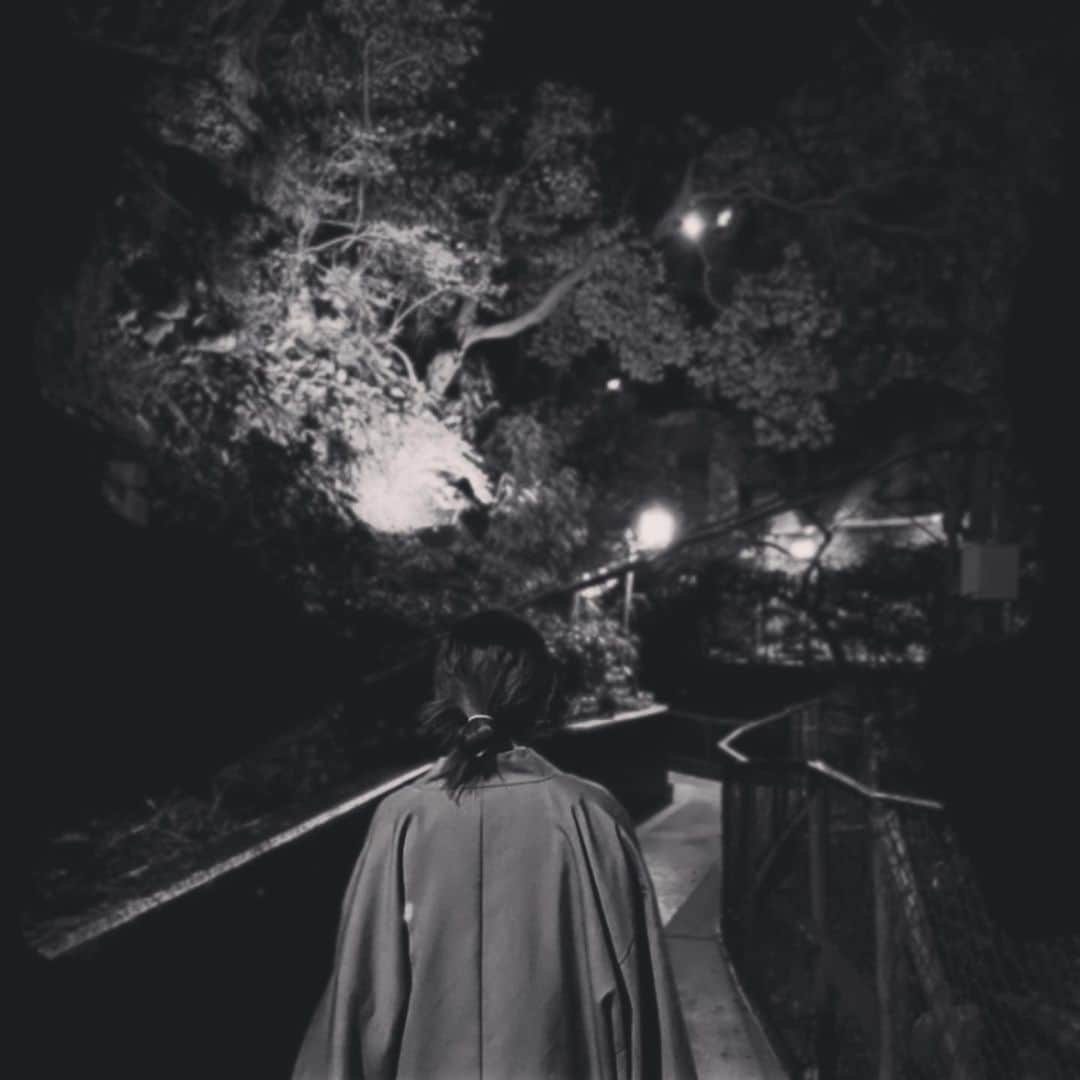 山崎桃子さんのインスタグラム写真 - (山崎桃子Instagram)「いつか来た道、いつか行く道  #そういうこと  #いつか子どもに」12月4日 8時09分 - momochan0910