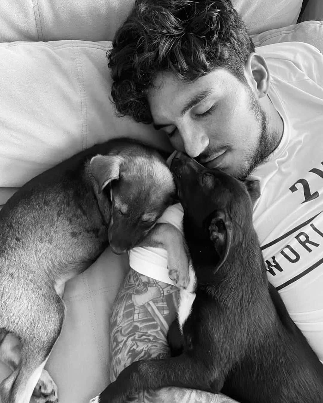 ガブリエル・メディーナのインスタグラム：「I adopted them and my life changed. Adopt too.❤️  Hoje eu vim aqui falar sobre um assunto muito importante que agora faz parte da minha vida, a adoção de animais. Nunca pensei muito nisso e confesso que não entendia muito bem o quanto adotar é importante e impactante na sua vida e na vida dos animais. Não pensava que teria animais adotados mas um dia eu vi eles abandonados na rua e algo me tocou profundamente. Parei o carro e decidi naquele segundo que iria levar eles para casa e enche-los  de amor e carinho. Dar a eles a vida que todos os animais merecem. Acabamos adotando duas cachorrinhas que vieram tão esfomeadas que choravam toda vez que colocávamos comida para elas e engoliam tão rápido como se não fosse ter mais comida depois. Isso partia meu coração. Adotamos também um gatinho que vimos no meio de uma estrada sozinho e fraco. Não acho que ele sobreviveria sozinho por muito tempo. Foi lá que eu e a @yasminbrunet1 paramos o carro e pegamos o gatinho sem pensar duas vezes. Todos os animaiszinhos que pegamos na rua estavam doentes e fracos. Mal sabíamos que em questão de meses, com os cuidados necessários, muito amor e carinho, eles estariam comendo a nossa comida, brincando no nosso sofá e causando com tantas brincadeiras  em casa. Todos os dias sinto muita gratidão por Deus ter me dado a chance de ajudá-los. Os nossos dias são cheios de pura satisfação, felicidade, amor e lealdade. Adotar salva vidas. Salve uma vida também ❤️ Adote um animal.」