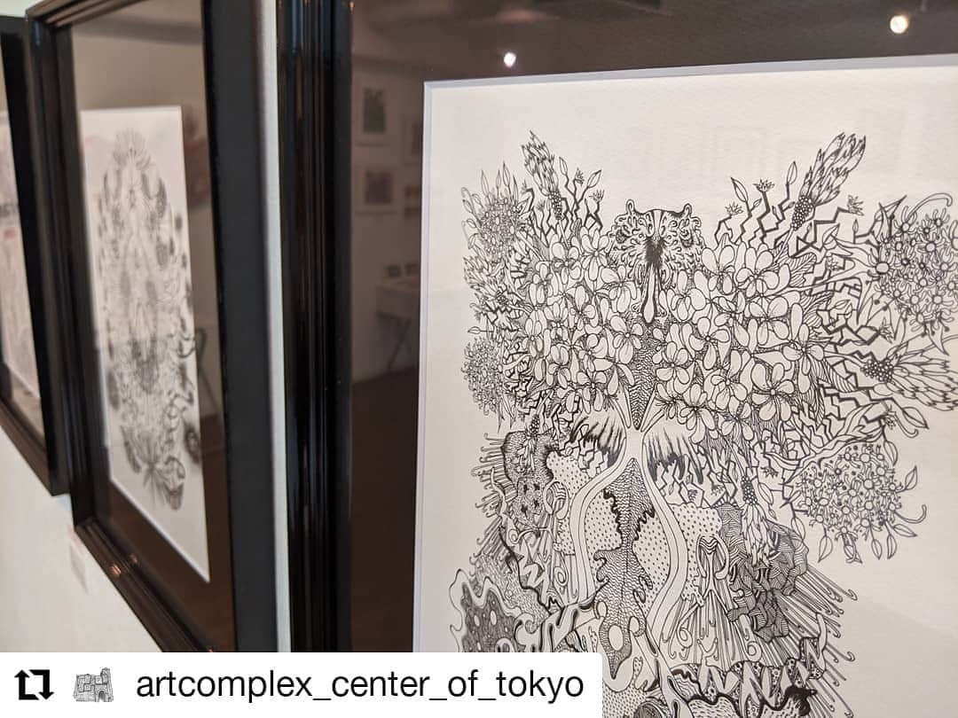 大塚咲さんのインスタグラム写真 - (大塚咲Instagram)「#Repost @artcomplex_center_of_tokyo • • • • • • The Artcomplex Center of Tokyo／アートコンプレックスセンター  ・ ・ 細密展 16 2020/12/1(tue)-12/6(sun) 11:00-19:00(最終日は17:00まで) 2F ACT1  繊細で緻密、人々の目を疑うような世界を描き出す。ひとつひとつの線は小さな世界でも、その世界が集まり、見せてくれる世界は濃密で壮大な世界である。それが「細密」な作品の生み出す魅力であります。 そのものを写実的に捉えたものから自己の世界を追求したものまで、「細密」な作品は多様な表現を見せてくれます。「細密」というキーワードの中には、まだ出会えていない無限の可能性が秘められていると感じています。 本展覧会は細密な作風を得意とする作家たちによる展覧会になります。  【Exhibitors】 #大塚咲 #宇野たまみ #utaitaya #上滝玲子 #Guenhwyvar #イシイヨシト #TauchiSakura #森水翔  【Online shop】 https://gallerycomplex.shop-pro.jp/?mode=cate&cbid=2608702&csid=91  #groupexhibition #miniature #ACT1 #art #theartcomplexcenteroftokyo #artcomplexcenteroftokyo #アートコンプレックスセンター #shinjuku #新宿 #artgallery #アートギャラリー #gallery #exhibition #artexhibition #artcomplex #tokyo #contemporaryarts #四ツ谷 #yotsuya #artforsale」12月4日 9時05分 - otsukasaki_