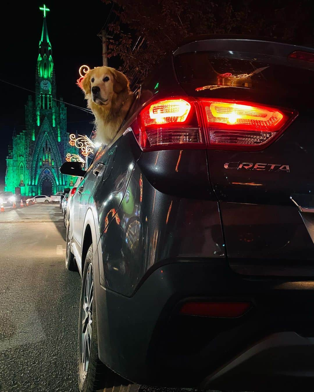 Bobさんのインスタグラム写真 - (BobInstagram)「Patrocinador do #ExpediçõesOlaPet @olapet.friendly , a @hyundaibr cedeu ao time 3 Creta e 1 HB20 que nos acompanham nos passeios do dia a dia e principalmente nas viagens! Já passamos por Monte Verde- MG, Socorro-SP, São Roque-SP, Curitiba-PR, Gramado-RS, Canela-RS, Novo Hamburgo-RS, Mairiporã-SP, Qual será o próximo destino? Acompanhe o time! @olapet.friendly @malugolden_ @googlethegolden 🐾🐾 @hyundaibr #HyundaiPets  . . #ExpediçõesOlaPet #ExpediçõesOlaPetSP #Hyundai #Creta #Hb20 #viagem #viagemcompets #destinos #turismo #hotelaria #gastronomia #corporativo #dicasdeviagem #brasil #saopaulo #petfriendly」12月4日 9時31分 - bob_marley_goldenretriever