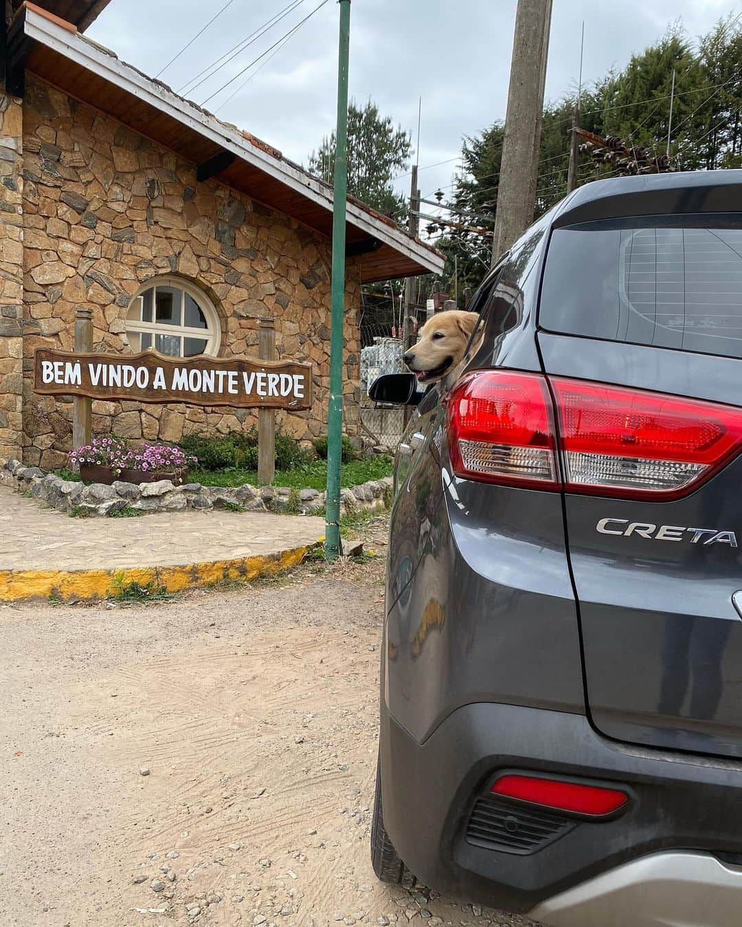 Bobさんのインスタグラム写真 - (BobInstagram)「Patrocinador do #ExpediçõesOlaPet @olapet.friendly , a @hyundaibr cedeu ao time 3 Creta e 1 HB20 que nos acompanham nos passeios do dia a dia e principalmente nas viagens! Já passamos por Monte Verde- MG, Socorro-SP, São Roque-SP, Curitiba-PR, Gramado-RS, Canela-RS, Novo Hamburgo-RS, Mairiporã-SP, Qual será o próximo destino? Acompanhe o time! @olapet.friendly @malugolden_ @googlethegolden 🐾🐾 @hyundaibr #HyundaiPets  . . #ExpediçõesOlaPet #ExpediçõesOlaPetSP #Hyundai #Creta #Hb20 #viagem #viagemcompets #destinos #turismo #hotelaria #gastronomia #corporativo #dicasdeviagem #brasil #saopaulo #petfriendly」12月4日 9時31分 - bob_marley_goldenretriever