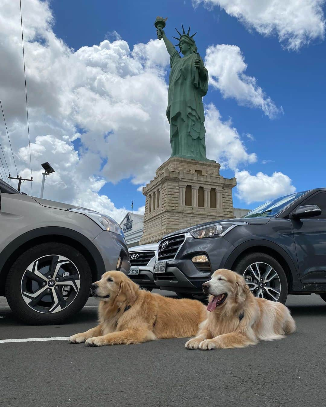 Bobさんのインスタグラム写真 - (BobInstagram)「Patrocinador do #ExpediçõesOlaPet @olapet.friendly , a @hyundaibr cedeu ao time 3 Creta e 1 HB20 que nos acompanham nos passeios do dia a dia e principalmente nas viagens! Já passamos por Monte Verde- MG, Socorro-SP, São Roque-SP, Curitiba-PR, Gramado-RS, Canela-RS, Novo Hamburgo-RS, Mairiporã-SP, Qual será o próximo destino? Acompanhe o time! @olapet.friendly @malugolden_ @googlethegolden 🐾🐾 @hyundaibr #HyundaiPets  . . #ExpediçõesOlaPet #ExpediçõesOlaPetSP #Hyundai #Creta #Hb20 #viagem #viagemcompets #destinos #turismo #hotelaria #gastronomia #corporativo #dicasdeviagem #brasil #saopaulo #petfriendly」12月4日 9時31分 - bob_marley_goldenretriever