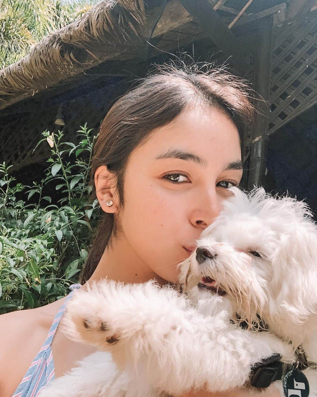 のインスタグラム：「Happy birthday Mason! You are the kindest, most gentle lil pup and the best buddy to the entire family.」