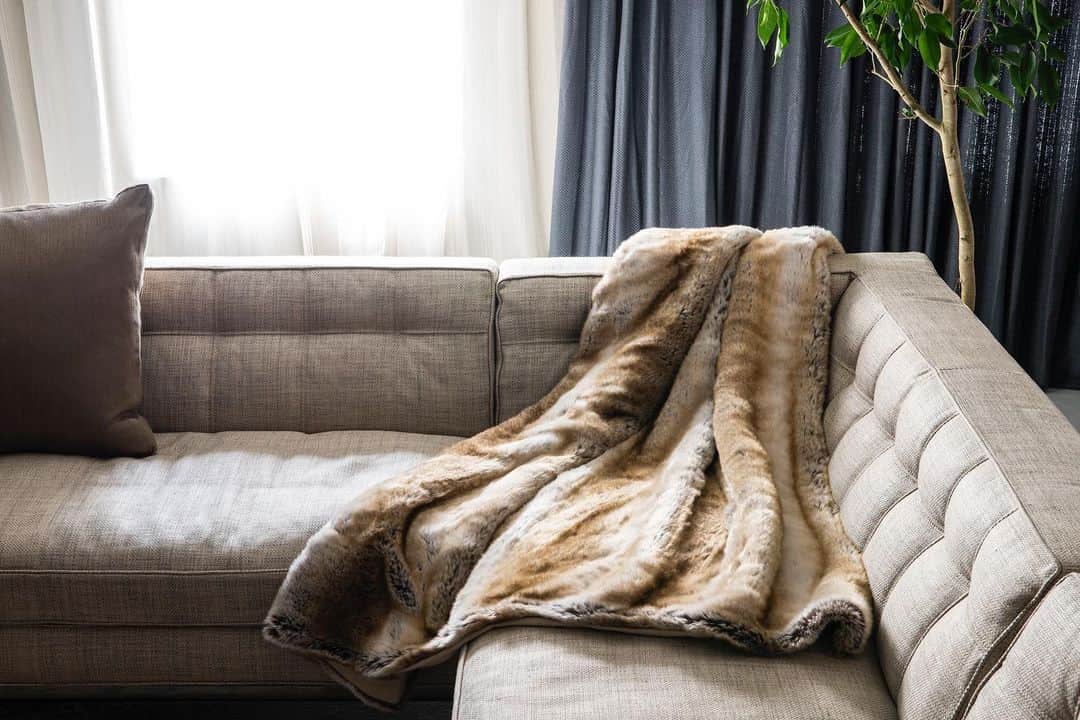 Cassina ixc. (カッシーナ・イクスシー) のインスタグラム