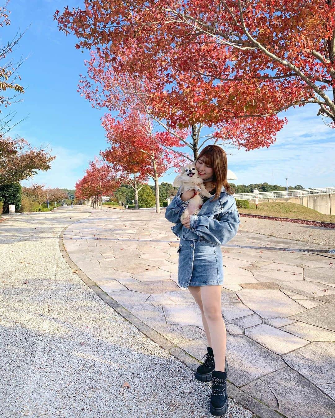 みーこさんのインスタグラム写真 みーこinstagram 紅葉 Spicaglow 様 の デニムセットアップコーデ Psh3900 クーポン配布中 ファッション 秋コーデ カジュアルコーデ 大人カジュアルコーデ 紅葉と私 デニムジャケット デニム ファッション