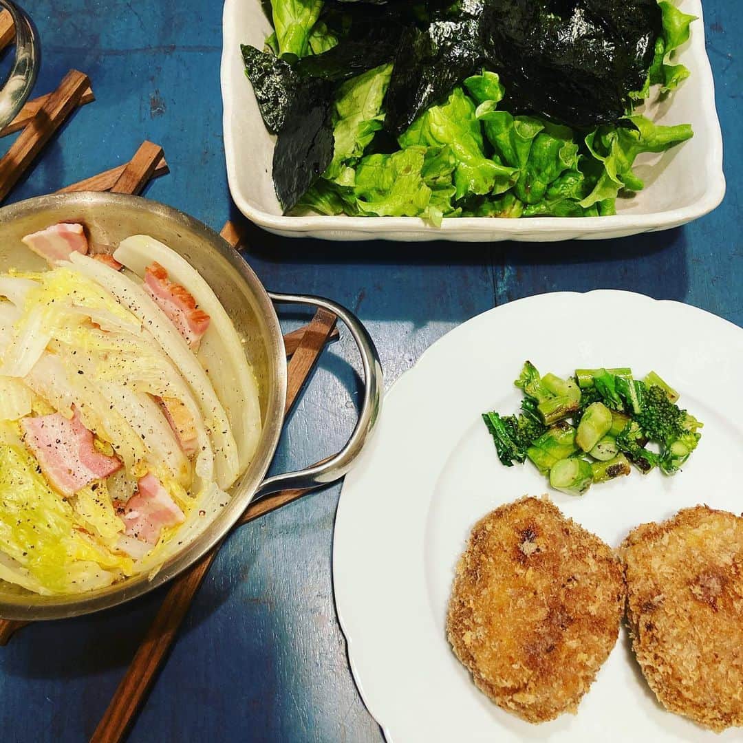 井上荒野のインスタグラム：「メンチカツ、白菜オイル蒸し、レタスと海苔サラダ。あと、誰のとは言わないけど数日前の失敗作を、ええいカレーにしちまえ！とやってみたが、失敗作はカレーにしても失敗作だった。2人とも食べなかった…。」