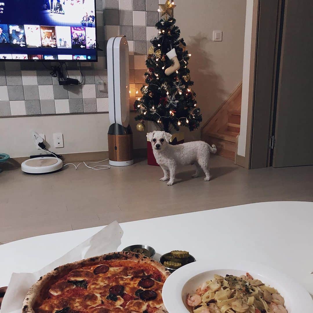 ユン・ダヨンのインスタグラム：「갈비와 함께하는 12월 🎄 그리고 오늘의 저녁 #디아볼라피자 #알리오올리오 #갈비의임보일기」