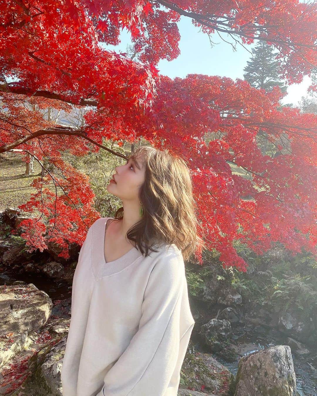 YUKIKOさんのインスタグラム写真 - (YUKIKOInstagram)「. 奈良公園の紅葉綺麗やったなぁ🍁 ※11月中旬の写真です 綺麗な景色ってみると心洗われる気がする😌✨ 逆光やったけどなんかいい感じになった📸 . 奈良県学生以来やったけど 大人になって行くのめっちゃよかった🧡 . #奈良県 #奈良観光 #奈良旅行  #紅葉 #奈良公園」12月4日 20時20分 - 128yukinco