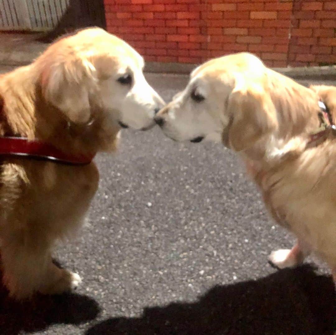 高橋ひとみのインスタグラム