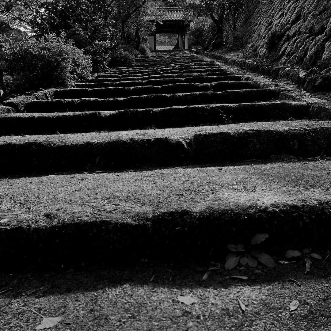 naotakeのインスタグラム：「階段 - Stairs / D810 & Snapseed, 20201205 . . 普段よりちょっとだけ遅いシフト勤務は、集中して作業するには、電話やメールが入らないぶん捗る。 . . #spicollective #royalsnappingartists #infamous_family #rsa_main #infinity_photo_cult #2_fineart #jp_gallery_member #jp_gallery_bnw #trb_bnw #wp_bnw  #bnw_life #bnwlife_member #bnw_life_shots #bnw_captures #world_bnw #top_bnw #team_jp_ #team_jp_モノクロ #ig_energy_bw #ig_nihon #streetphotographybnw #igersjp #blackandwhite #bnw #bnwphoto #monochrome #bw #bnwphotography #nikon #d810」