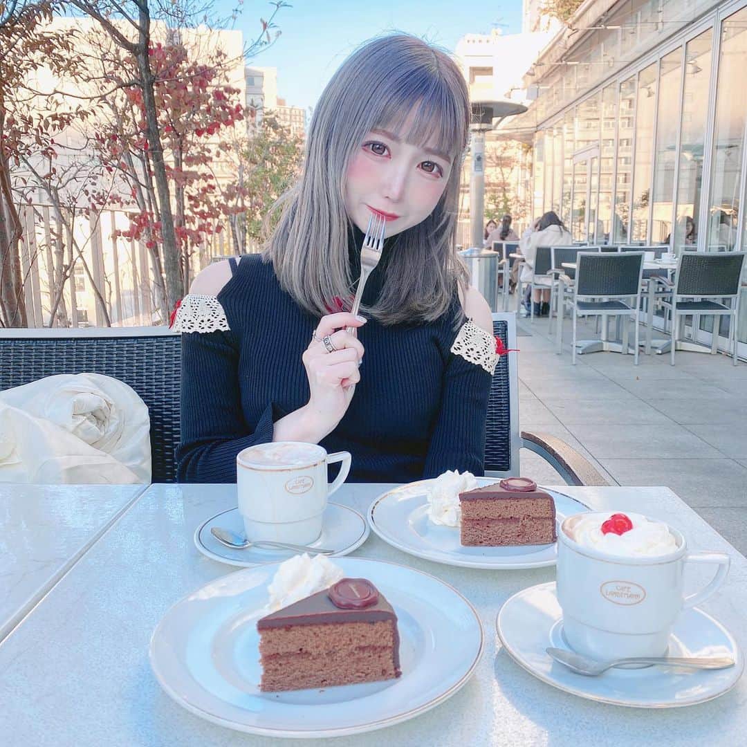 あいにゃんのグルメインスタ