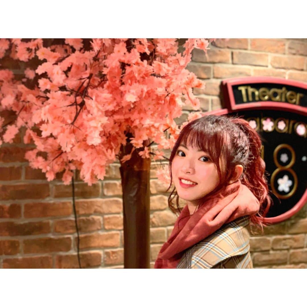 馬嘉伶さんのインスタグラム写真 - (馬嘉伶Instagram)「🍵 #季節外れの桜 #AKB48 #AKB48劇場 #🌸 . この間、久々にAKB48劇場のロビーへ行きました 半年前に メンバー一人一人が力を合わせて作った🌸の花が 綺麗な桜の木になっていますよ これは 世界で一番美しい桜の木だと思います😌😌💗 . 来年こそは、 皆さんと一緒にお花見が出来ますように」12月4日 20時29分 - macyacyarin