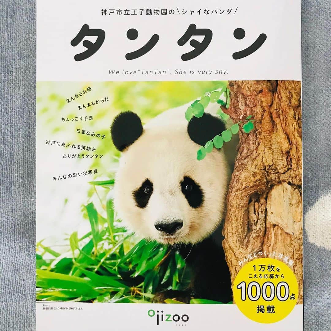 布川愛子さんのインスタグラム写真 - (布川愛子Instagram)「フェリシモ出版さんから発売中の写真集『神戸市立王子動物園のシャイなパンダ　タンタン』 🐼💕挿絵をいくつか担当いたしました。全国のタンタンファンの皆様から送られた写真に、飼育員さんたちのインタビュー、眩しいくらいにタンタン愛が詰まった素晴らしい一冊です。タンタン大好きという気持ちが溢れていて感動します✨そしてタンタンが最高に可愛い。。😣💕💕素敵なお仕事いただきありがとうございます💫 #aikofukawa #aikofukawa_illustration #布川愛子　#パンダのタンタン」12月4日 11時54分 - aikofukawa