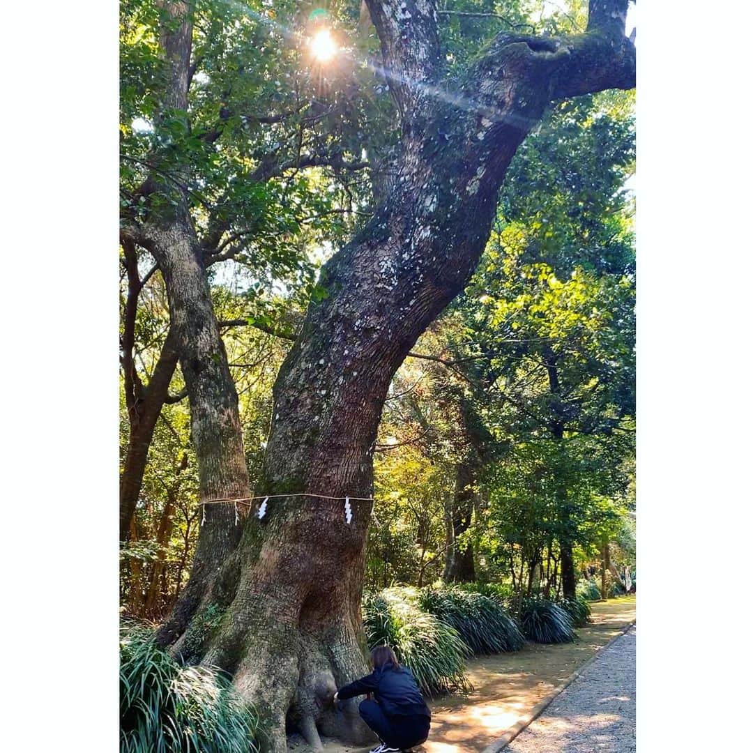 MINMIさんのインスタグラム写真 - (MINMIInstagram)「最高に晴れてる宮崎 安全にみんなが音楽のパワーを存分に堪能できますように。御見守りください。お詣りは江田神社にて✨  神話で有名なみそぎの池も美しいです。 パワースポットとして有名な神社、宮崎にお越しの際は是非お詣りしてみてください😊 @freedombeach2020official #宮崎県　#パワースポット　 #てげてげでいっちゃが」12月4日 12時15分 - minmidesu