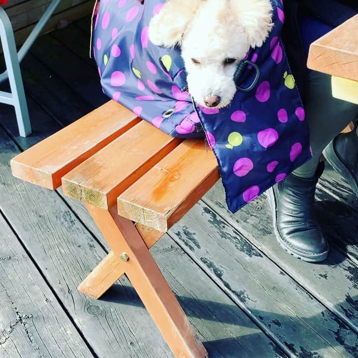 金村義明のグルメインスタ