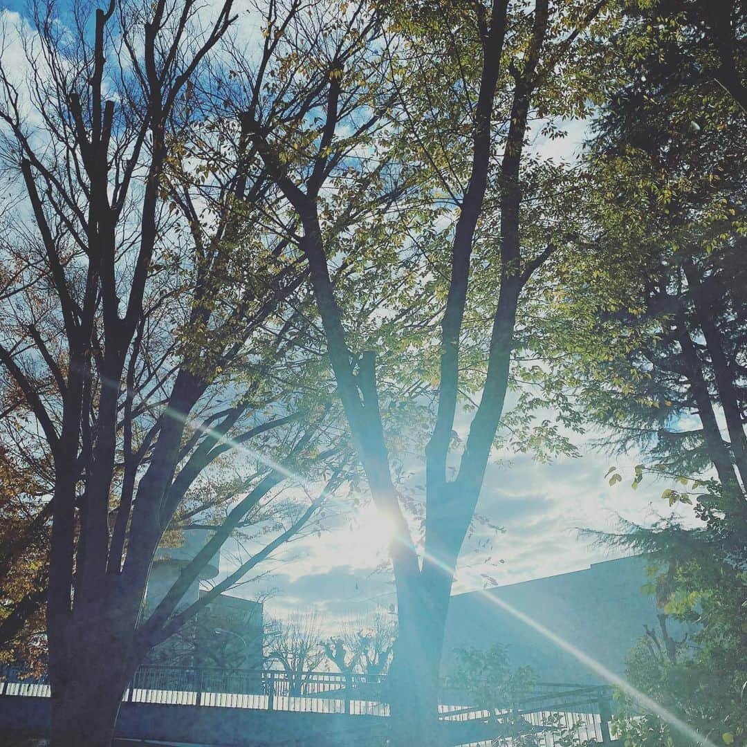 徳永有美さんのインスタグラム写真 - (徳永有美Instagram)「今日の朝焼け。まっすぐな日差しを浴びて得した気分！しかし。年末に向けてやること満載なはずなのに眠さに負けて、に…逃げてます。  #いつやるつもりなんでしょーか #明日ですよ  #永遠の明日 #冬は寒いから #やる気出るまでが #時間かかるんっすよねー #できない人の #言い訳 #はい」12月4日 13時14分 - yumi_tokunaga.official