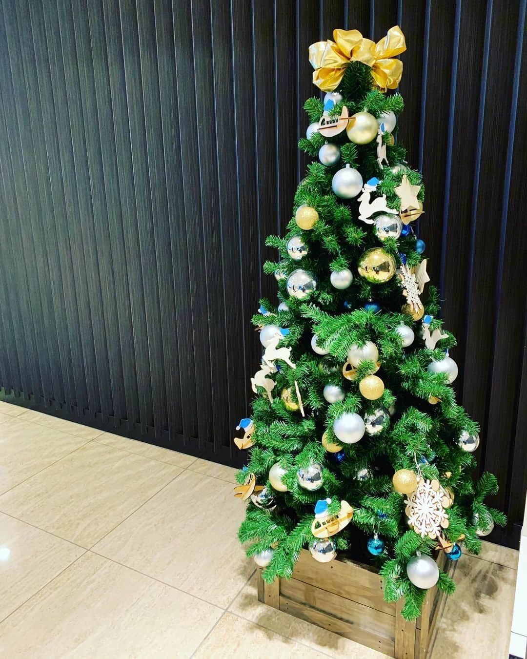 中江有里さんのインスタグラム写真 - (中江有里Instagram)「クリスマスまでに、今追われている仕事は一段落する。 今はただ、目の前のハードルを超えていくのみ。 来年に向けて頑張ります。」12月4日 13時47分 - yurinbow1226