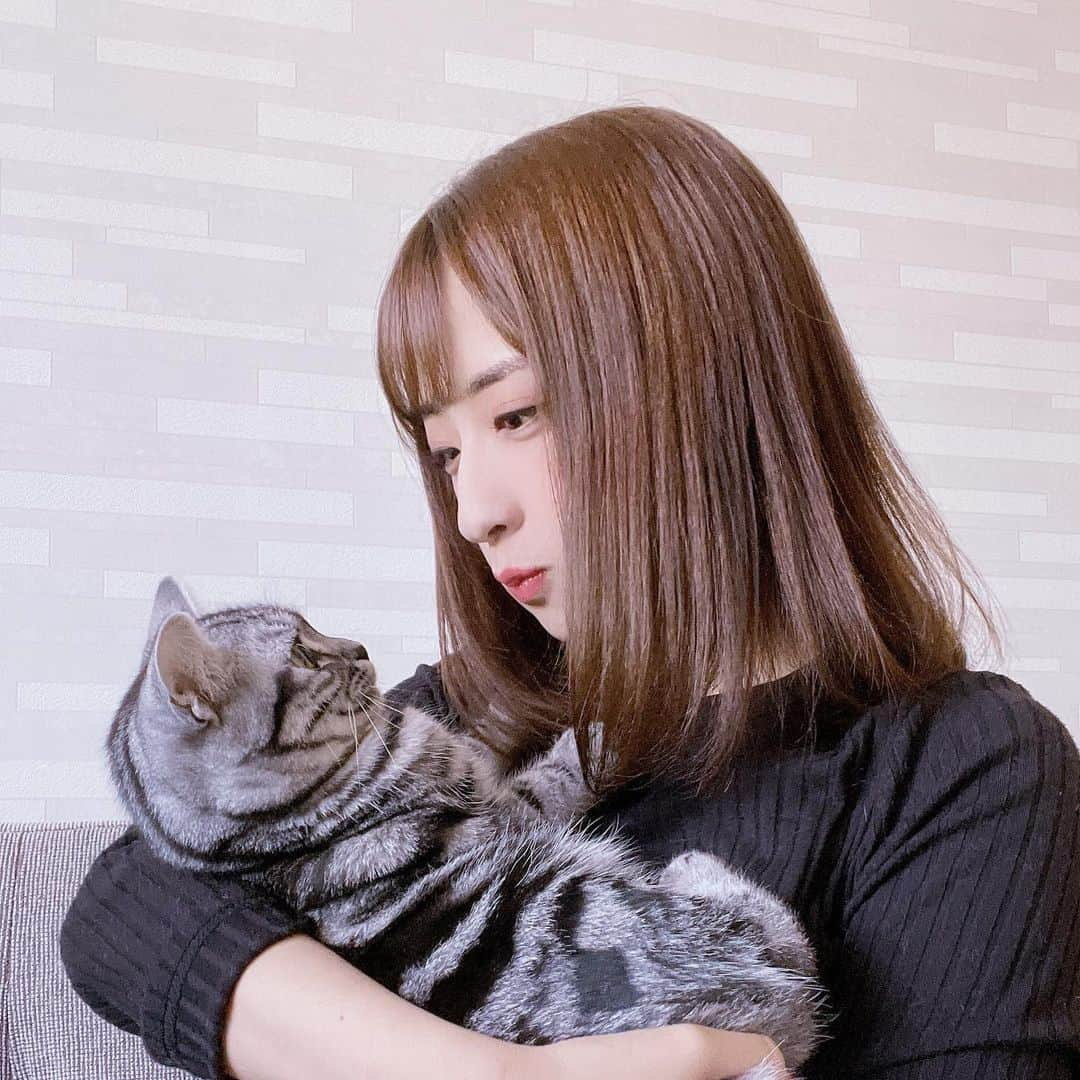 井口眞緒さんのインスタグラム写真 - (井口眞緒Instagram)「こまちゃんと私🐱」12月4日 14時22分 - iguchi.mao