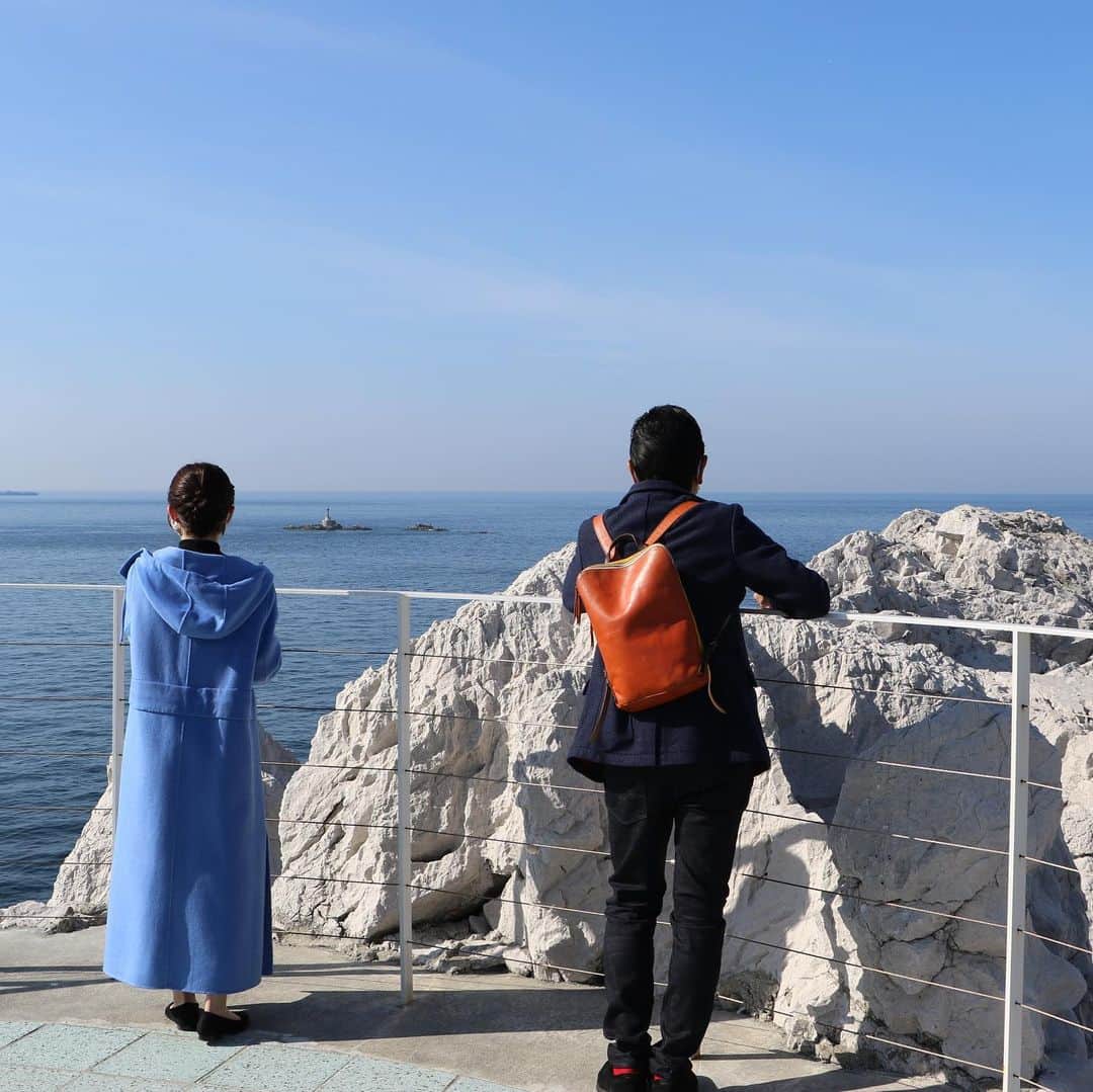 テレビ大阪「おとな旅あるき旅」さんのインスタグラム写真 - (テレビ大阪「おとな旅あるき旅」Instagram)「明日のおとな旅あるき旅（テレビ大阪）は、意外と知らない和歌山 由良から湯浅へ　絶景と旬の海の幸が満載の旅です。  釜あげしらすや近海のとれたて鮮魚、冬の紀州ならでは「クエ」のフルコース！もちろん、旬のみかんなども…美味しいもんだらけ！ さらに穴場な名所が続々！青い海と真っ白な岩々が美しい海辺の絶景スポットや、数々の日本発祥を生んだ伝説の残るお寺など、見どころたっぷり！お楽しみに！  明日12/5(土)18:30〜  #おとな旅あるき旅#テレビ大阪#三田村邦彦#斉藤雪乃#和歌山#きのくに線#由良#湯浅#しらす#釜揚げしらす#イセエビ#アカモク#クエ#クエ鍋#醤油#白崎海洋公園#石灰岩#興国寺#栖原温泉#温泉宿」12月4日 14時43分 - tvo.otonatabi