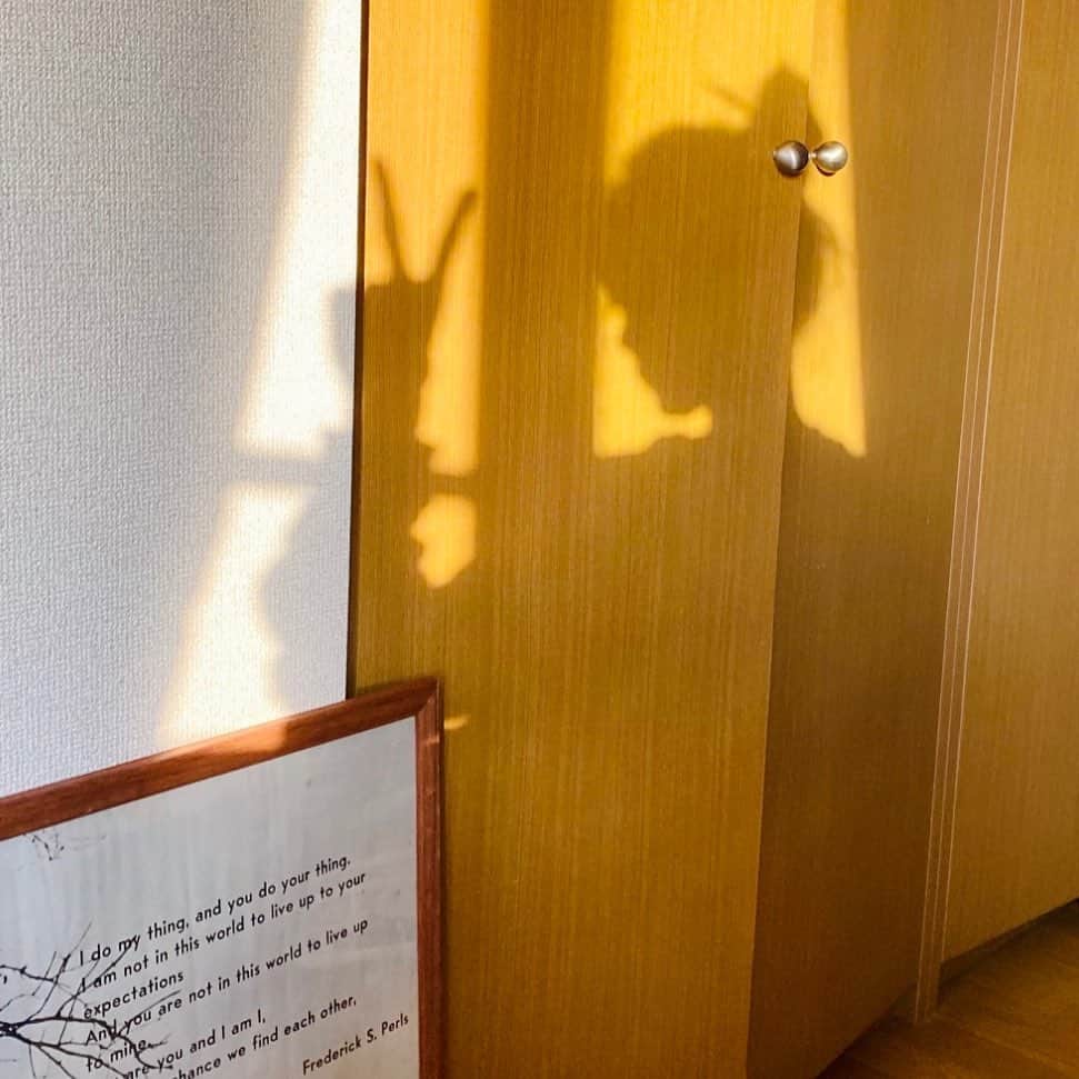 難波礼華のインスタグラム：「@homeshichirigahama  プレオープンしたよっ🎉 オープンまでまだまだ準備終わらない☺️ 12/15グランドオープンなのでぜひ皆様来てください💓 お店遊びに来るだけでも大歓迎です💓 写真は何も関係ない日差し気持ちかった休日の写真☺️」