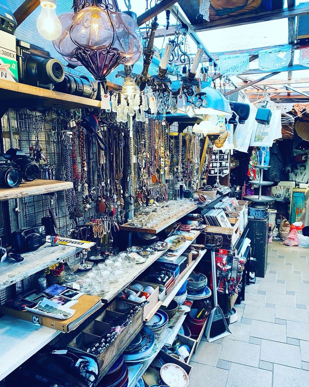 美川憲二さんのインスタグラム写真 - (美川憲二Instagram)「大好き❤ 下北沢の 古着屋、巡りよ〜😃😄☀️ いきつけの　アンティーク雑貨さんやらなんやらショップの数が 多すぎて🤩🤩🤪😳😳  どうしまひょ‼️😄🤣🤣💦💦 でも　買い物‼️たのすぃ😄😃　たのすぃ😄😃⤴️  #下北沢 #古着屋巡り #アンティーク雑貨  #いきつけのお店  #ショッピング楽しいわー #美川憲一 #美川憲二 #ヒデコフランセスカ #オネェ系 #ものまね」12月4日 15時33分 - mikawakenji