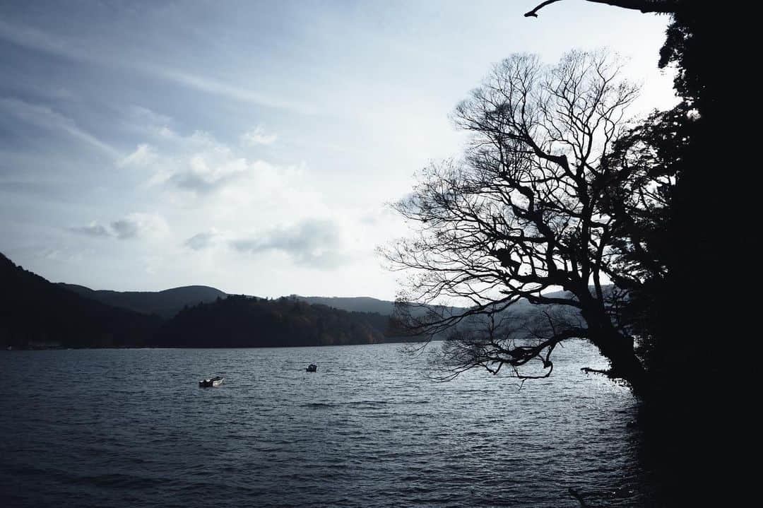 _msy_tのインスタグラム：「Lake Ashi and the silhouette of trees near Hakone Shrine. . 箱根神社の近くから。 芦ノ湖と、力強く生えていた木々のシルエット⛩ . . . #picoftheday #team_jp #pixlib_jp #visitjapanjp #alpha_newgeneration #sorakataphoto #tokyocameraclub #ap_japan_ #ig_japan #visitjapanjp #retrip_news #art_of_japan_ #photo_jpn #japantravelplanet #hubsplanet #daily_photo_jpn #ptk_japan #wu_japan #japan_daytime_view #Waterfall #広がり同盟 #風景 #風景写真 #風景写真部 #芦ノ湖 #湖 #箱根神社 #pastpicture」