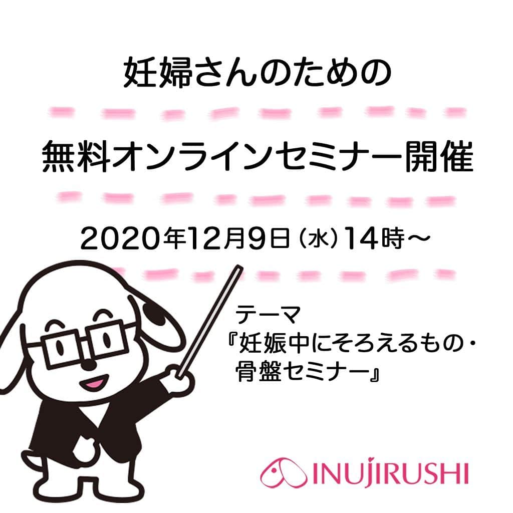 犬印本舗【公式】さんのインスタグラム写真 - (犬印本舗【公式】Instagram)「*﻿ 妊婦さんのための『無料オンラインセミナー』開催﻿ 2020年12月9日（水）14時～﻿ テーマ：妊娠中にそろえるもの・骨盤セミナー﻿ ﻿ ◎参加方法﻿ PCからの参加者は、以下のURLを参加時間にクリック﻿ https://us02web.zoom.us/j/81208673356﻿ ﻿ スマホやタブレットからの参加者は、﻿ Zoomのアプリをインストールしていただき、﻿ 参加クリック﻿ 　　↓﻿ ミーティングID：812 0867 3356を入力﻿ 　　↓﻿ 参加クリック﻿ （セミナーは参加者のお顔出し無し設定で行います）﻿ ﻿ ◎不明点等ございましたらこちらのメールまで﻿ Iinfo@inujirushi.co.jp﻿ ﻿ ----------﻿ ※インスタグラムからのお申し込みは受け付けておりません。ご注意くださいませ。﻿ ----------﻿ ﻿ 妊婦さんに寄り添い、安心と快適をお届けする犬印本舗の無料オンラインセミナーは、プレママや新米ママに役立つ情報が盛りだくさん！みなさまのご参加をお待ちしております。﻿ ﻿ #犬印本舗 #犬印 #マタニティ #妊婦帯 #戌の日 #安産祈願 ＃出産準備 #マタニティインナー #マタニティブラジャー #産前 #産後 #産後骨盤ケア #産後ケア #妊娠中 #初めての妊娠 #初マタさんと繋がりたい #初めての赤ちゃん #妊娠初期 #妊娠中期 #妊娠後期 #プレママ #妊娠中に揃えるもの #妊娠セミナー #妊娠情報 #妊娠講座 #プレママセミナー #マタニティセミナー」12月4日 15時30分 - inujirushi.official