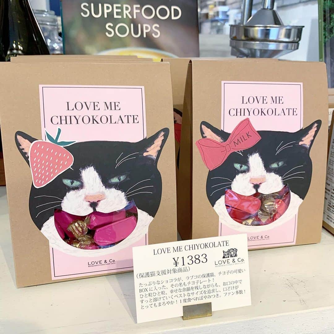 Rachien Smoothieのグルメインスタ