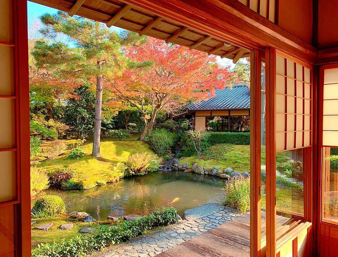 百合華さんのインスタグラム写真 - (百合華Instagram)「京都蹴上にある『南禅寺 順正』の国登録有形文化財を見学させていただきました✨  特に松の襖絵が神々しい上段の間がとってもお気に入り💖  2021年のお正月は縁起の良さそうなこちらのお部屋で親族の御祝い会を開催予定なのでワクワクしちゃいます🎍🥂💕  #japan #日本 #kyoto  #京都 #南禅寺 #順正 #湯豆腐 #lunchtime  #ランチタイム #国登録有形文化財  #特別室 #歴史的建造物  #日本庭園 #上段の間 #御祝い会 #お正月 #縁起がいい  #襖絵 #松」12月4日 15時48分 - yurika.lovelily