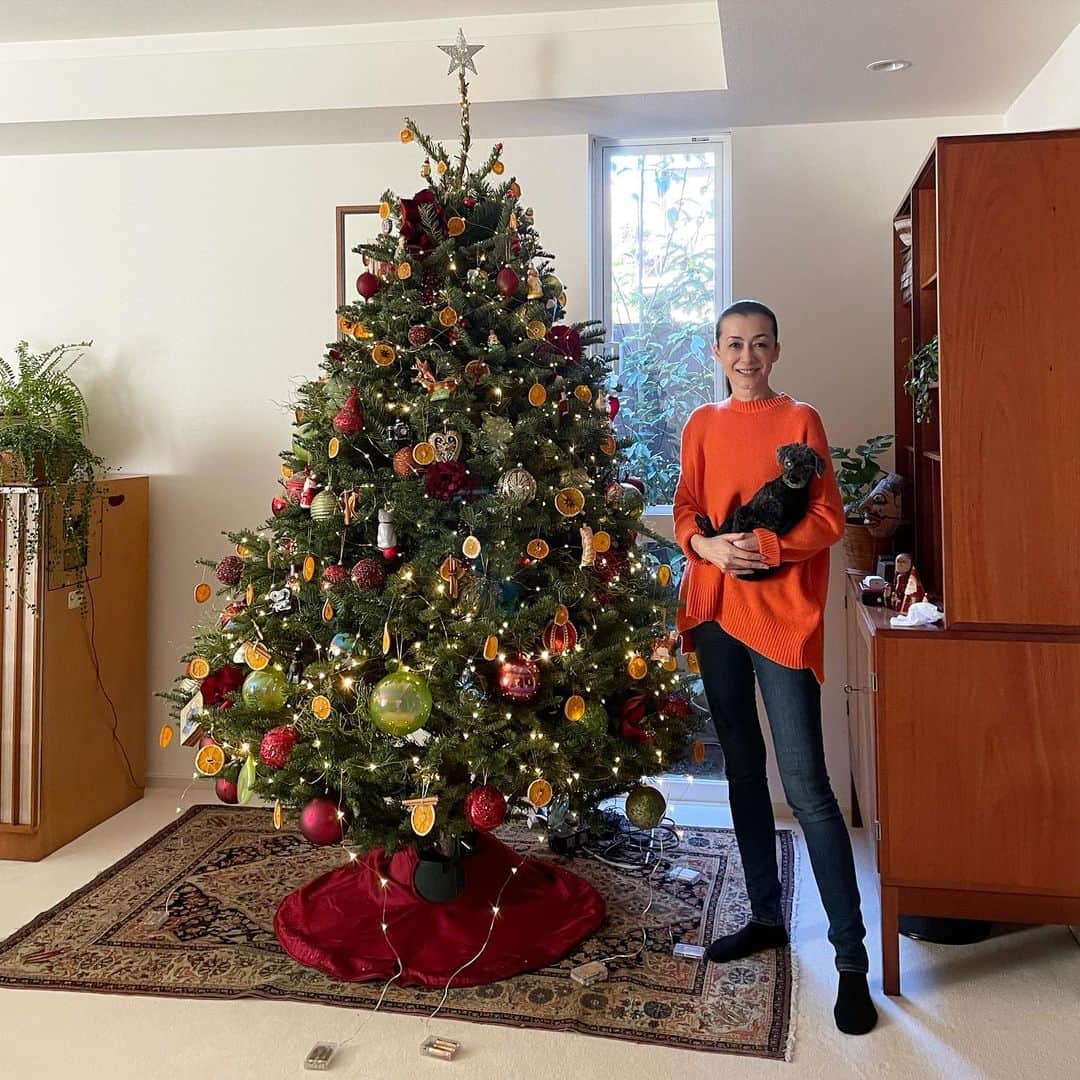 桐島かれんさんのインスタグラム写真 - (桐島かれんInstagram)「ツリーの飾り付け、ほぼ完了。 今回は、本物のモミの木を使いました。  #クリスマスツリー　#christmastree #xmastree #xmasdecor」12月4日 16時14分 - houseoflotuskaren
