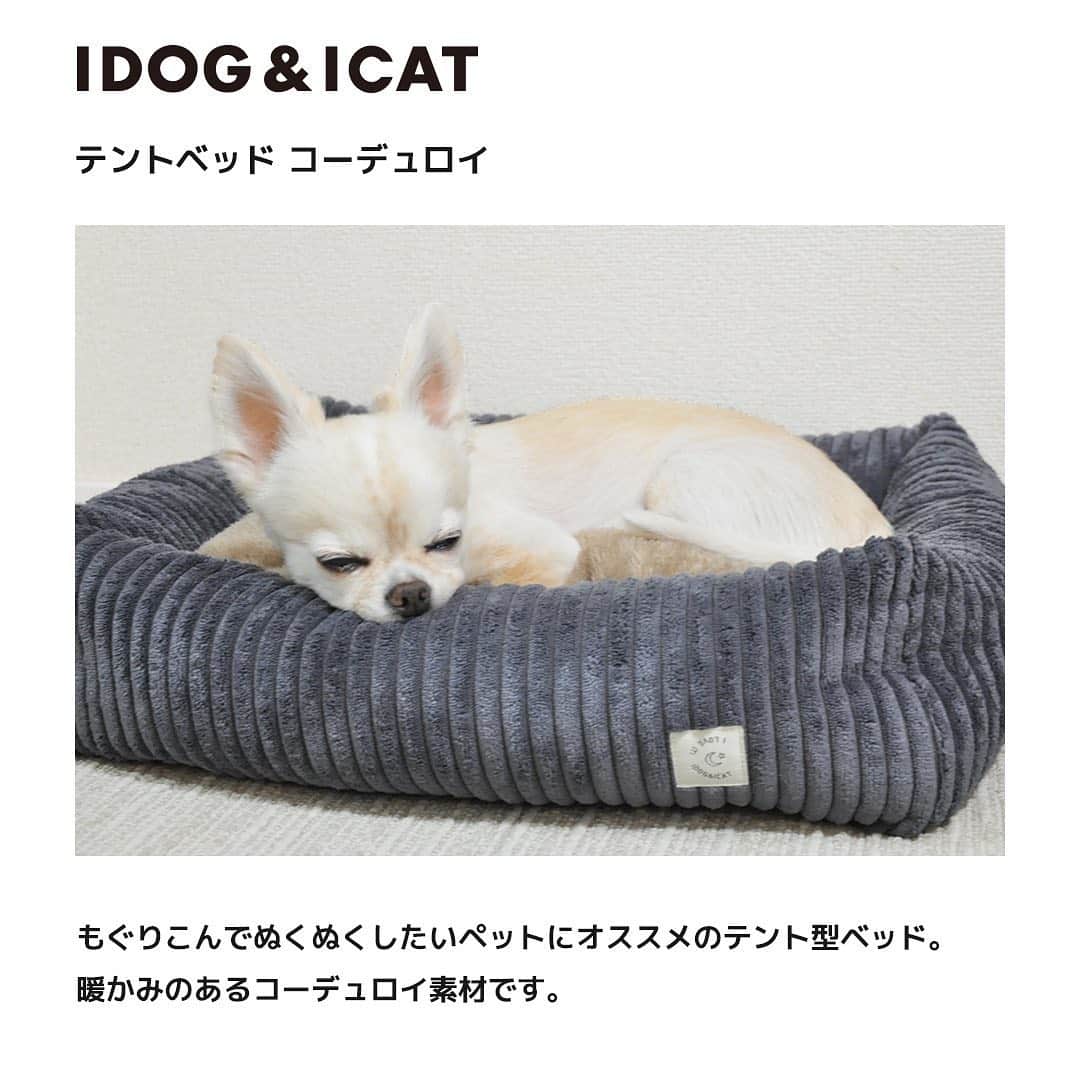 iDog&iCatさんのインスタグラム写真 - (iDog&iCatInstagram)「【NEW デザインベッド　販売中】  「テントベッド コーデュロイ」 テント型ベッドは、狭い場所や囲われた場所が好きな愛犬や愛猫にオススメです。  もぐりこむのが大好きなペットにピッタリ。  表はかわいいコーデュロイ素材を使用しました。  ベッド内側とクッションはふんわり柔らかい厚手の両面フリース素材を使用しました。  ふわふわとした手触りのあたたかい素材で、とても暖かく過ごすことができます。  クッションにはたっぷりと綿がつまっておりふかふかです。  テントの頂上にはクッションと同じ生地で作った大き目のボンボンを付けました。 毛糸のぼんぼんではないのでかじっても糸がほどけてきません。  入口横には「I LOVE IT」のネームタグが付いています。 ベッドの背面にはコードホールがついているので、電源を使うペット用のホットカーペットなどを入れることができます。  「スクエア シャギーベッド」 ゆったり大きめのスクエア型ベッドです。 毛足が長いファーを使用し、ラグジュアリーな印象に。  使いやすい3種類のカラーをご用意しました。  ベッド全体が手触りの良いふわふわのファー素材で、寒い日も暖かく過ごせます。  クッションの内側は綿の片寄りがないようにステッチで縫い付けられています。 直接縫い付けてありますので、取り外しはできません。  ゆったりのびのびくつろげる大きめサイズに仕上げました。  小型犬や中型犬、猫や多頭飼いのお家にオススメです。 底面にはすべり止めが付いています。  「スクエアベッド コーデュロイ」 秋冬にピッタリのコーデュロイ素材のスクエア型ベッドです。  開放的なクッション型ベッドはのびのびと寝るのが大好きな愛犬や愛猫にオススメです。 ベッドの壁面はあごを乗せてくつろぐのにもいい高さと柔らかさです。  正面には「I LOVE IT」のネームタグが付いています。 ベッドの中のクッションはふんわり柔らかい厚手の両面フリース素材を使用、たっぷりと綿がつまっておりふかふかです。 クッション部分は取り外しできます。 綿の片寄りを防ぐため中央は縫いとめてあります。  底面には滑り止め素材を使用しています。  キュートなベッドで愛犬・愛猫に心地よい特等席をつくってあげてくださいね♪ https://item.rakuten.co.jp/idog/c/0000000328/  #iDog #iDogiCat #iCat #ペットベッド #新作 #AW新作 #新デザイン」12月4日 17時17分 - idogicat