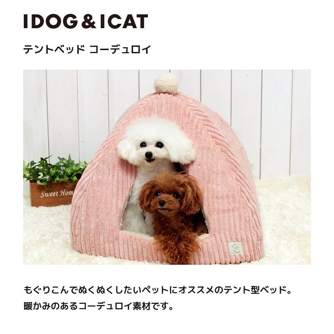 iDog&iCatさんのインスタグラム写真 - (iDog&iCatInstagram)「【NEW デザインベッド　販売中】  「テントベッド コーデュロイ」 テント型ベッドは、狭い場所や囲われた場所が好きな愛犬や愛猫にオススメです。  もぐりこむのが大好きなペットにピッタリ。  表はかわいいコーデュロイ素材を使用しました。  ベッド内側とクッションはふんわり柔らかい厚手の両面フリース素材を使用しました。  ふわふわとした手触りのあたたかい素材で、とても暖かく過ごすことができます。  クッションにはたっぷりと綿がつまっておりふかふかです。  テントの頂上にはクッションと同じ生地で作った大き目のボンボンを付けました。 毛糸のぼんぼんではないのでかじっても糸がほどけてきません。  入口横には「I LOVE IT」のネームタグが付いています。 ベッドの背面にはコードホールがついているので、電源を使うペット用のホットカーペットなどを入れることができます。  「スクエア シャギーベッド」 ゆったり大きめのスクエア型ベッドです。 毛足が長いファーを使用し、ラグジュアリーな印象に。  使いやすい3種類のカラーをご用意しました。  ベッド全体が手触りの良いふわふわのファー素材で、寒い日も暖かく過ごせます。  クッションの内側は綿の片寄りがないようにステッチで縫い付けられています。 直接縫い付けてありますので、取り外しはできません。  ゆったりのびのびくつろげる大きめサイズに仕上げました。  小型犬や中型犬、猫や多頭飼いのお家にオススメです。 底面にはすべり止めが付いています。  「スクエアベッド コーデュロイ」 秋冬にピッタリのコーデュロイ素材のスクエア型ベッドです。  開放的なクッション型ベッドはのびのびと寝るのが大好きな愛犬や愛猫にオススメです。 ベッドの壁面はあごを乗せてくつろぐのにもいい高さと柔らかさです。  正面には「I LOVE IT」のネームタグが付いています。 ベッドの中のクッションはふんわり柔らかい厚手の両面フリース素材を使用、たっぷりと綿がつまっておりふかふかです。 クッション部分は取り外しできます。 綿の片寄りを防ぐため中央は縫いとめてあります。  底面には滑り止め素材を使用しています。  キュートなベッドで愛犬・愛猫に心地よい特等席をつくってあげてくださいね♪ https://item.rakuten.co.jp/idog/c/0000000328/  #iDog #iDogiCat #iCat #ペットベッド #新作 #AW新作 #新デザイン」12月4日 17時17分 - idogicat