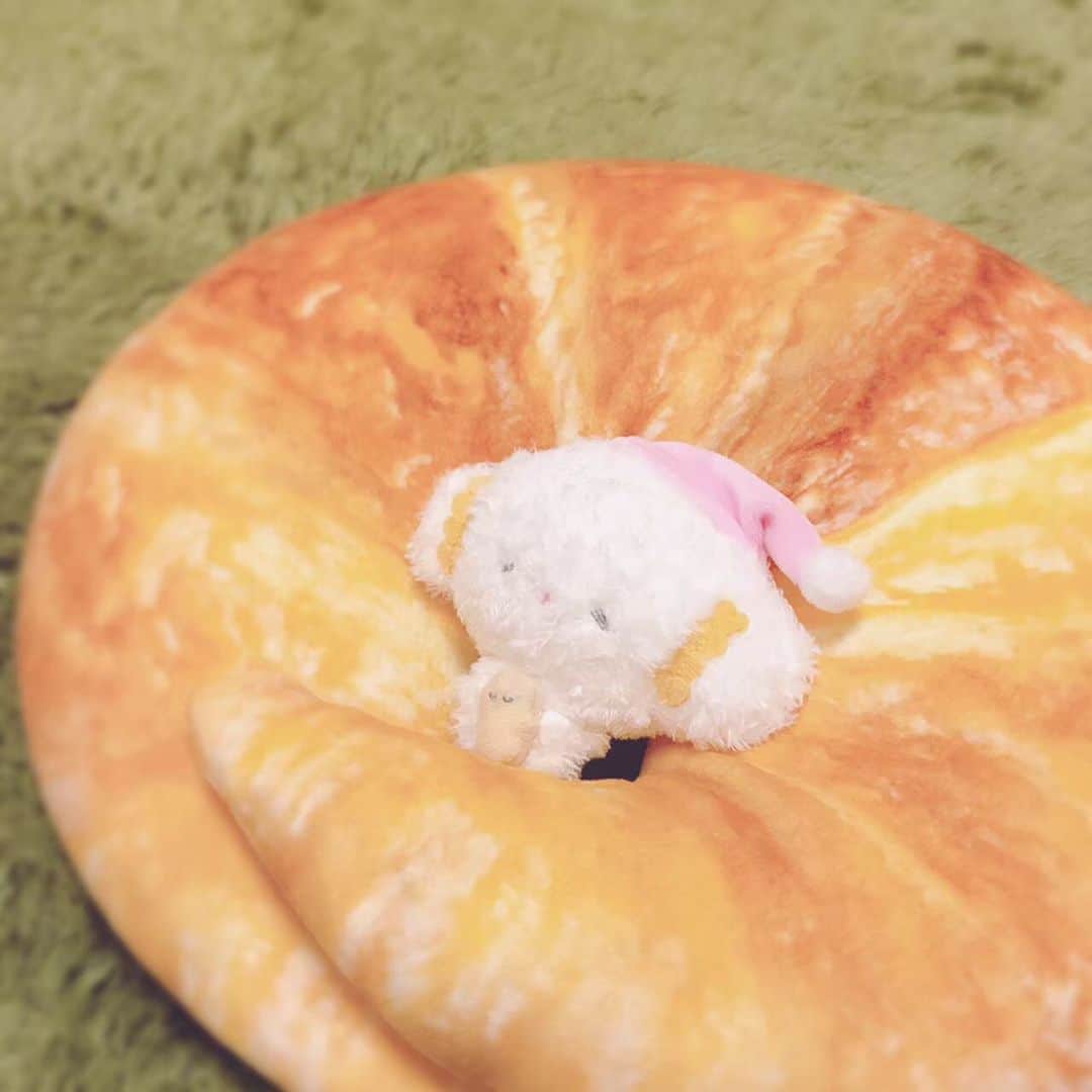 こぎみゅん（サンリオ）のインスタグラム：「すや〜･･みゅん･･ むにゃむにゃ･･エビちゃん･･みゅん･･  #サンリオ #キャラクター #小麦粉の妖精 #こぎみゅん #sanrio #character #cogimyun #すやーみゅん #おやすみ」