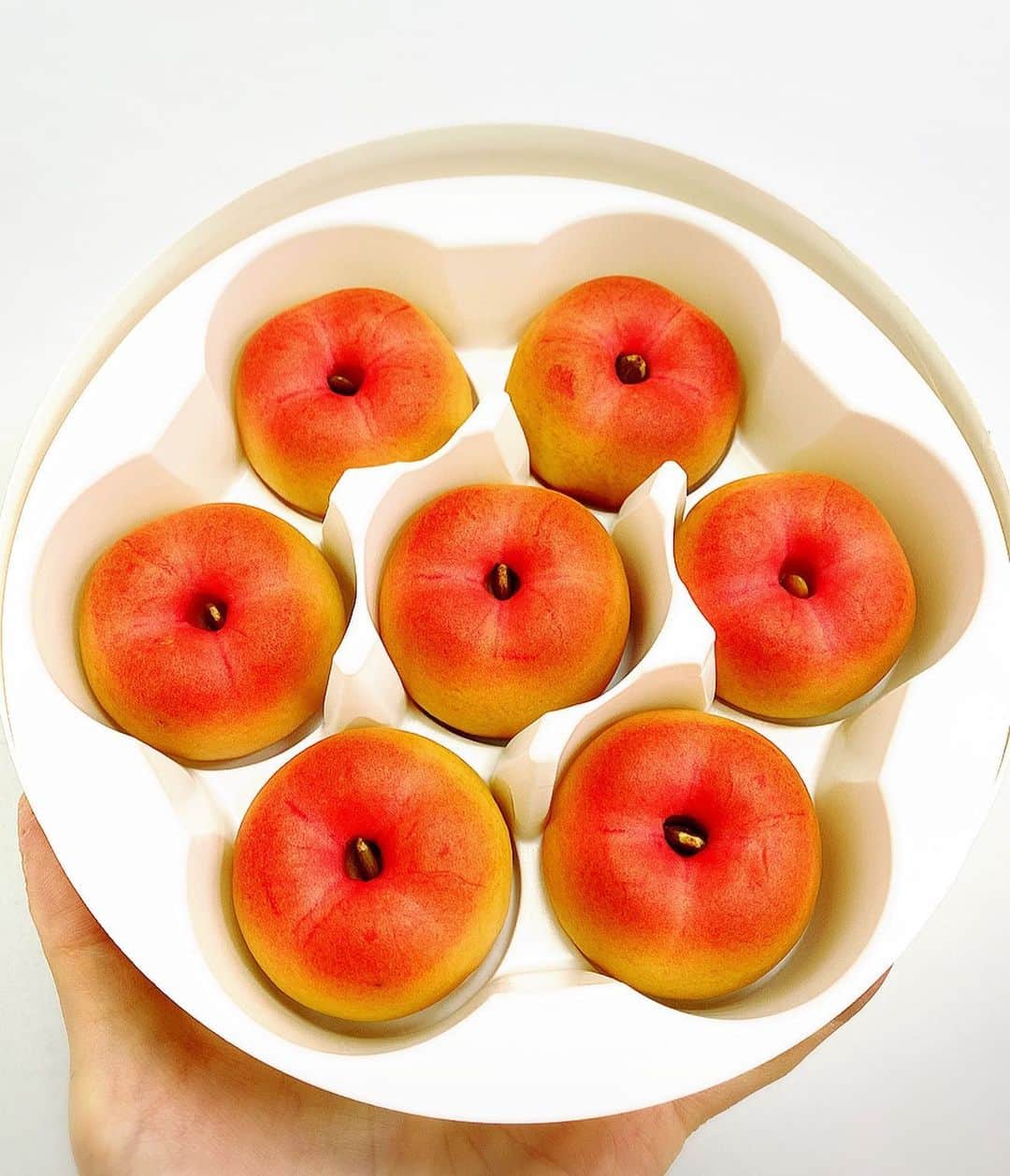 とぎもちさんのインスタグラム写真 - (とぎもちInstagram)「.﻿ 【アンドン土産】﻿ 韓国の安東旅行で﻿ アンドン土産に買った﻿ 安東りんごパン(안동사과빵)🍎﻿ ﻿ これがなかなか美味しかった！﻿ 賞味期限も長いしりんごの旨味詰まった﻿ 美味しいりんごのお饅頭😂💓﻿ ﻿ 買って正解！﻿ おすすめです♪﻿ .﻿ #アンドンサグァパン #安東サグァパン #アンドンりんごパン #安東土産 #アンドン土産 #アンドン旅行 #安東旅行 #韓国 #韓国旅行 #韓国土産  #안동사과빵 #안동여행 #안동과자 #먹스타그램 #토기모치 #とぎもちkorea #토기모치mukbang #먹방 #とぎもち安東土産 #とぎもちアンドンサグァパン」12月4日 17時32分 - togistagram
