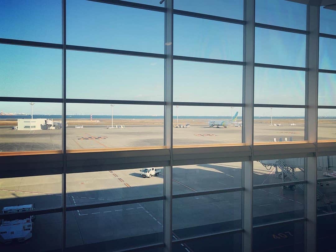 若森さちこさんのインスタグラム写真 - (若森さちこInstagram)「広島の空と東京の空。両日ともに快晴で気持ち良かったー！  #無事帰京 #airports」12月4日 17時39分 - pistachico