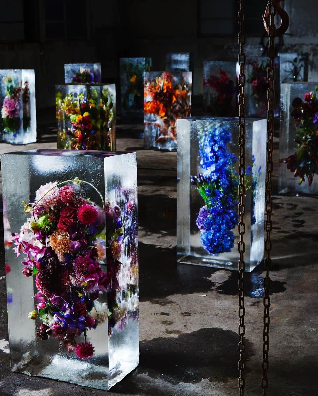 東信のインスタグラム：「ICED FLOWERS (2015)  #azumamakoto #shiinokishunsuke #amkk #amkkproject #icedflowers #saitama #japan #氷中花 #東信 #東信花樹研究所」