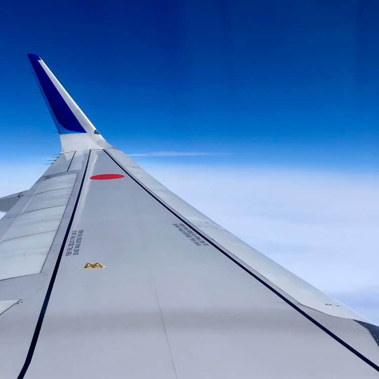 ANAさんのインスタグラム写真 - (ANAInstagram)「青い翼と青い空﻿✈️ ﻿ #上空から #眺める #青空 #青い翼と #青い空 #深呼吸して #リラックス #機窓から #機窓写真 #機窓からの景色 #ウイングレット #それぞれの旅計画 #anaブルー #青空好きな人と繋がりたい #青空とヒコーキ  #ソラマニ_マドカラ #skyveiw #winglet #wing #window #flight #anablue #airplane #anaairplane #camera #ana_jp ﻿ ﻿ 機窓からの風景は「#ソラマニ_マドカラ」をつけて投稿してね📷インスタやANAの各メディアでご紹介していきます💙」12月4日 17時57分 - ana.japan