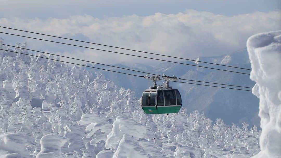 TOBU RAILWAY（東武鉄道）さんのインスタグラム写真 - (TOBU RAILWAY（東武鉄道）Instagram)「. . 🚩Zao, Yamagata . . [Enjoy a great snow world in Zao, Yamagata prefecture!] . In Zao, Yamagata Prefecture, it will be a time when you can experience the snow-covered tree phenomenon known as "Snow Monster" in winter. In Zao, you can enjoy skiing and snowboarding while watching Snow Monster. There is also one of the most famous hot spring spots in Japan. We recommend Zao Astraea Hotel. The high-quality hot water flowing directly from the hot spring source soothes your fatigue from your trip. . . #visituslater #stayinspired #nexttripdestination . . . #zao #zaoonsen #yamagata #tohoku #japantrip #discoverjapan #travelgram #tobujapantrip #unknownjapan #jp_gallery #visitjapan #japan_of_insta #art_of_japan #instatravel #japan #instagood #travel_japan #exoloretheworld #ig_japan #explorejapan #travelinjapan #beautifuldestinations #japan_vacations #beautifuljapan #japanexperience #onsen」12月4日 18時00分 - tobu_japan_trip