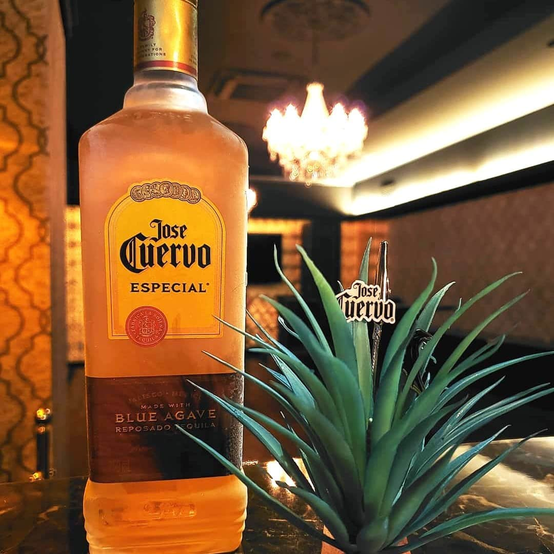 Jose Cuervo Japanのインスタグラム