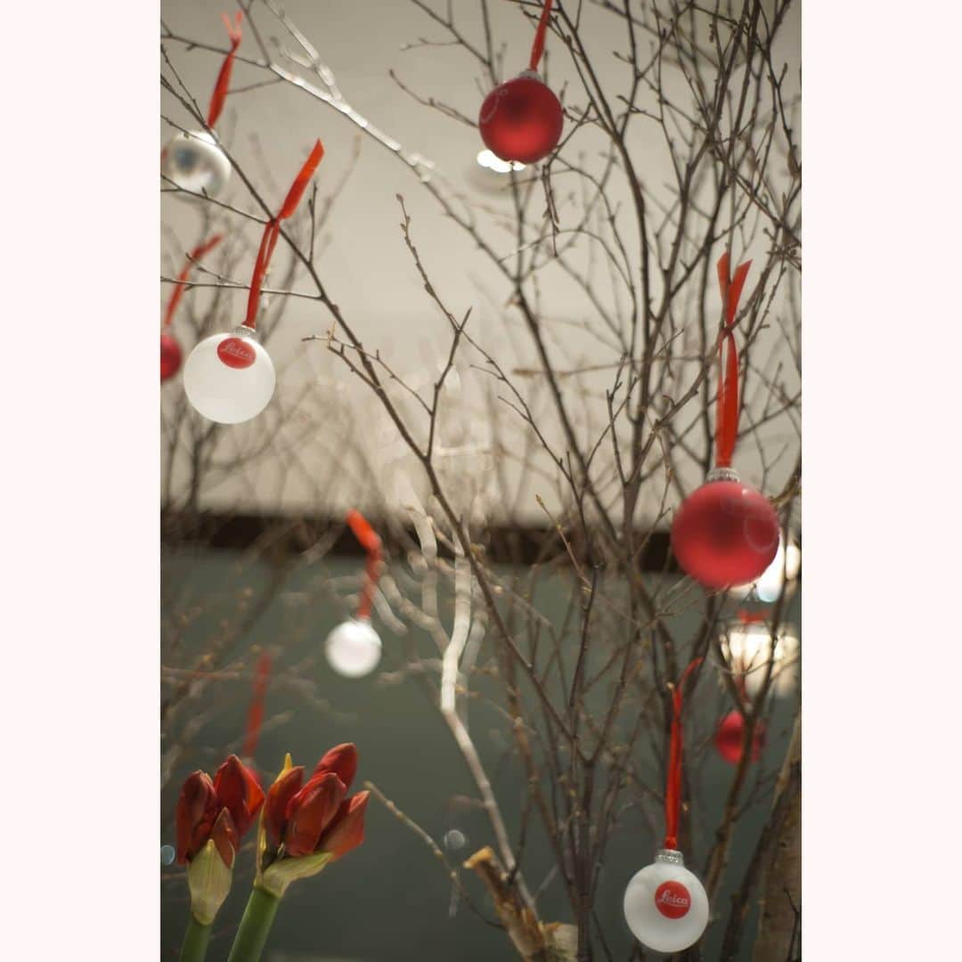 花澄さんのインスタグラム写真 - (花澄Instagram)「からのもうひと足伸ばして ライカ銀座店で開催中の 安珠さんの写真展へ。 美しい人の美しい写真に うっとりしました。＾＾  クリスマスツリーにライカマークが。 サンタさーん カメラとレンズを店舗ごとくださーい！ (希望が大きい)  Leica M10-P summilux 35mm f1.4 2nd  #tokyocameraclub#leica#leicam10p#summilux#summilux35#summilux35mm2nd#oldlens#ライカ#ライカm10p#ズミルックス#ズミルックス35mm#オールドレンズ#tokyo#japan#oldlens_tokyo#花澄#kazumiphotography」12月4日 18時04分 - textisan