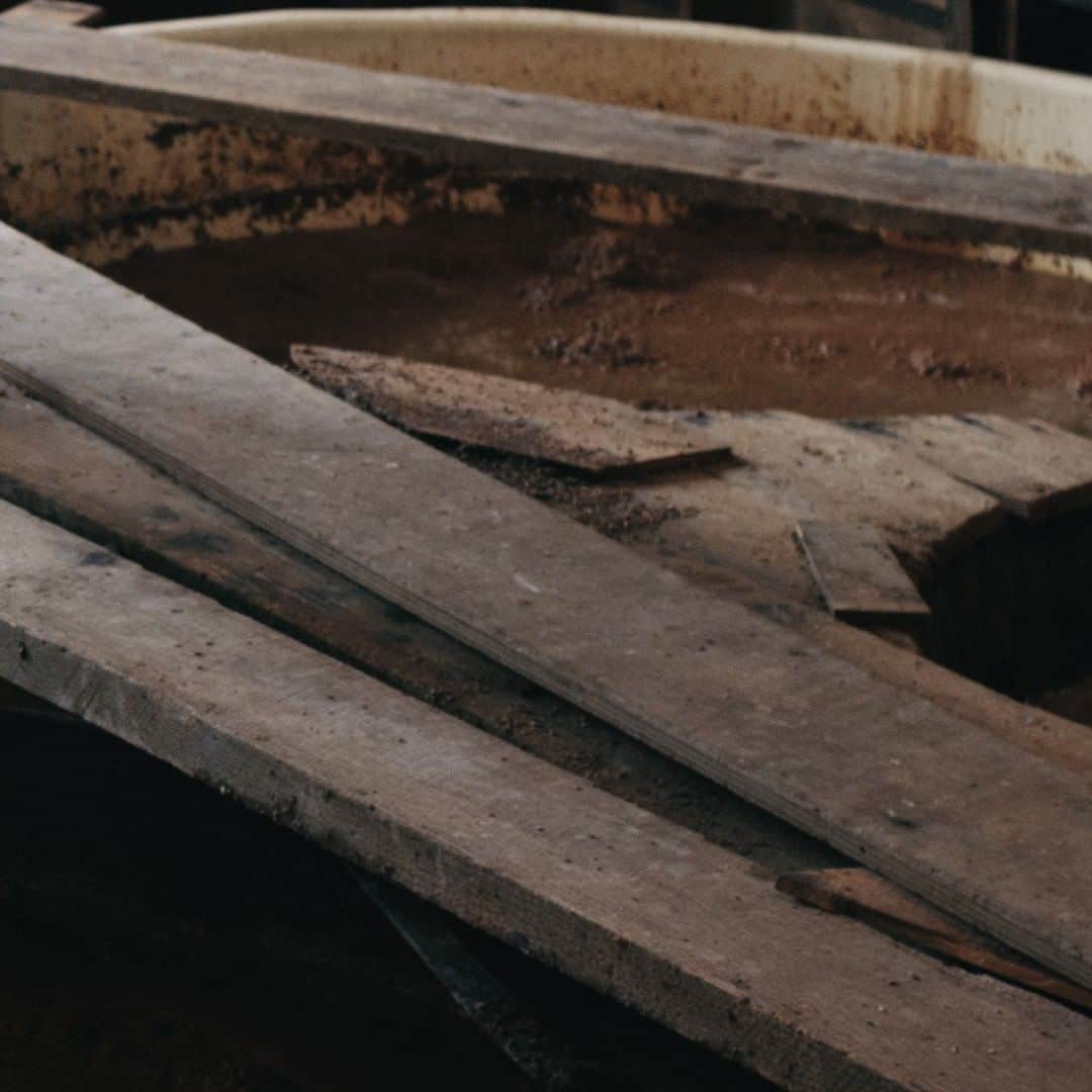 ヒラハルのグルメインスタ