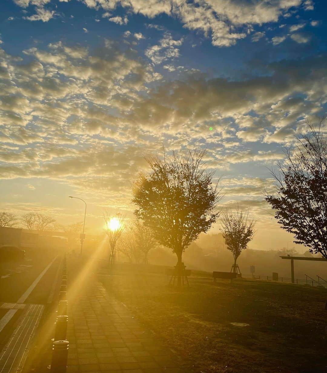 井上ヨシマサのインスタグラム：「early morning at local town  #fog #iphonography #iphone #view #beautyful #sunrise  #sun  #photo」