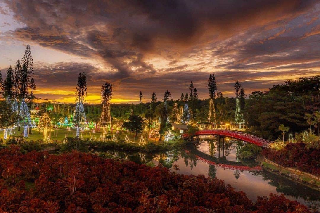 Be.okinawaさんのインスタグラム写真 - (Be.okinawaInstagram)「Can you hear Santa Claus’ sleigh bells?!  📍: Southeast Botanical Gardens 📷: @bunga_photo_ Thank you very much for your wonderful photo!  In 2019, the "Nostalgic Light Display" of Southeast Botanical Gardens was registered as Okinawa's first Night View Heritage of Japan. The garden is illuminated with about 2.8 million light bulbs. The brilliant scenery will excite you. Want to come in the future?  Hold on a little bit longer until the day we can welcome you! Experience the charm of Okinawa at home for now! #okinawaathome #staysafe  Tag your own photos from your past memories in Okinawa with #visitokinawa / #beokinawa to give us permission to repost!  #illumination #southeastbotanicalgardens #イルミネーション #東南植物楽園 #點燈 #東南植物樂園 #동남식물낙원 #일루미네이션 #japan #travelgram #instatravel #okinawa #doyoutravel #japan_of_insta #passportready #japantrip #traveldestination #okinawajapan #okinawatrip #沖縄 #沖繩 #오키나와 #旅行 #여행 #打卡 #여행스타그램」12月4日 19時00分 - visitokinawajapan