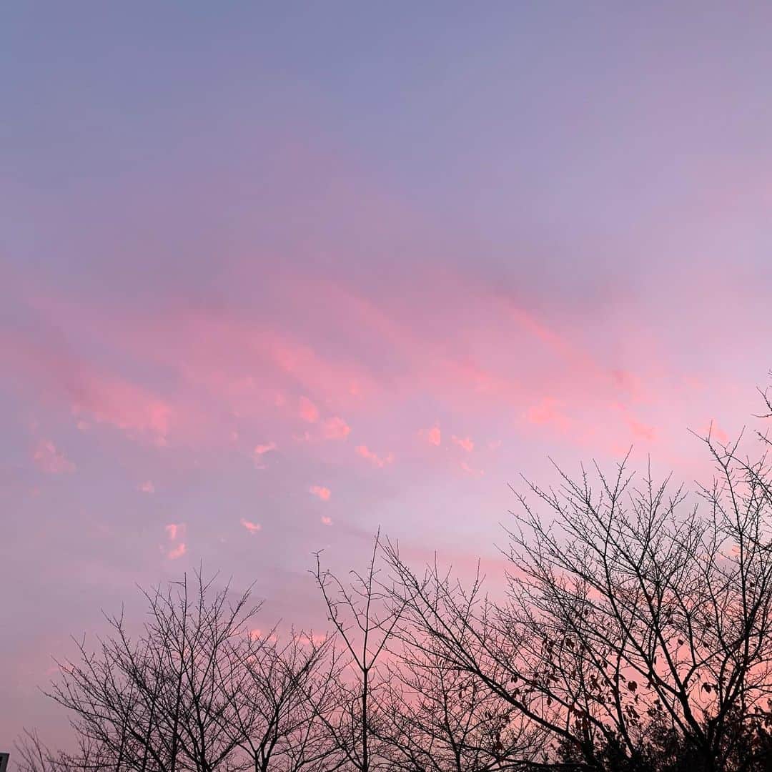 パク・ヘスさんのインスタグラム写真 - (パク・ヘスInstagram)「겨울 나무와 분홍 하늘」12月4日 19時09分 - hyesuuuuuya