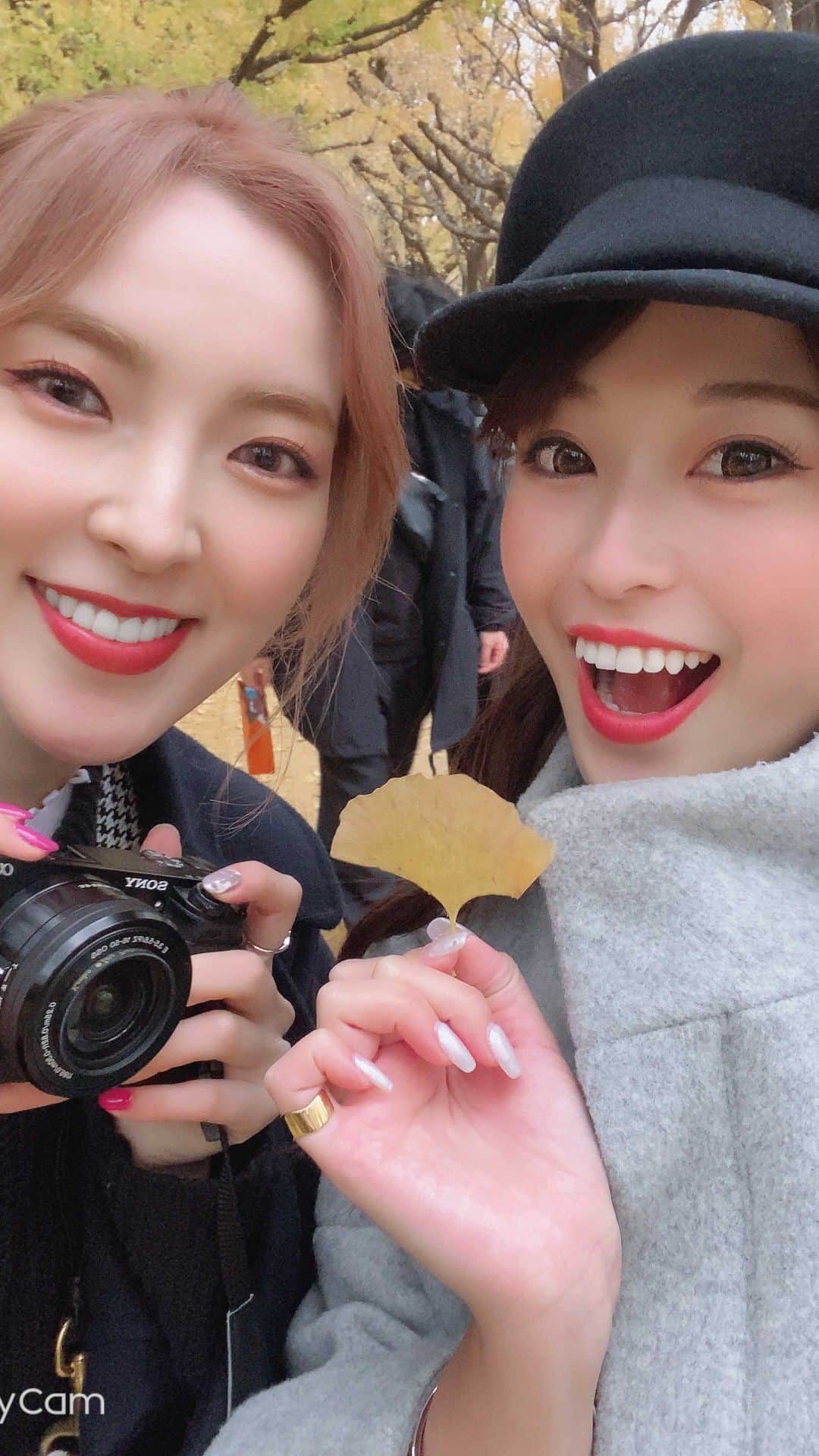神田藍香のインスタグラム：「いちょうの木少し禿げてたけど とても綺麗だったよ🍂✨ 来年は満開の時に行きたい😌💕  w/ @miriri_miso   #happy#holiday#bff#bff👭#friend #friendsmemes#aoyama#ginkgo #autumncolors#tagsforlike#l4l #銀杏並木#いちょう並木#外苑前いちょう並木  #いちょう#ぎんなん#休日#ランチ #お散歩#インスタ映え#変顔#友達 #冬コーデ#ファッション#リール」