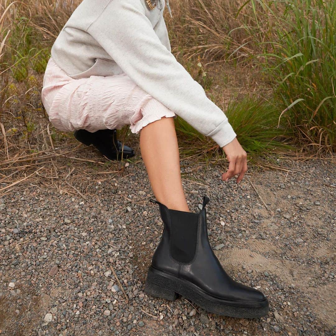 レフラーランドールのインスタグラム：「Raquel in the wild.」