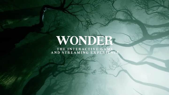 ショーン・メンデスのインスタグラム：「#WONDER the interactive game & streaming experience play.whatiswonder.com」