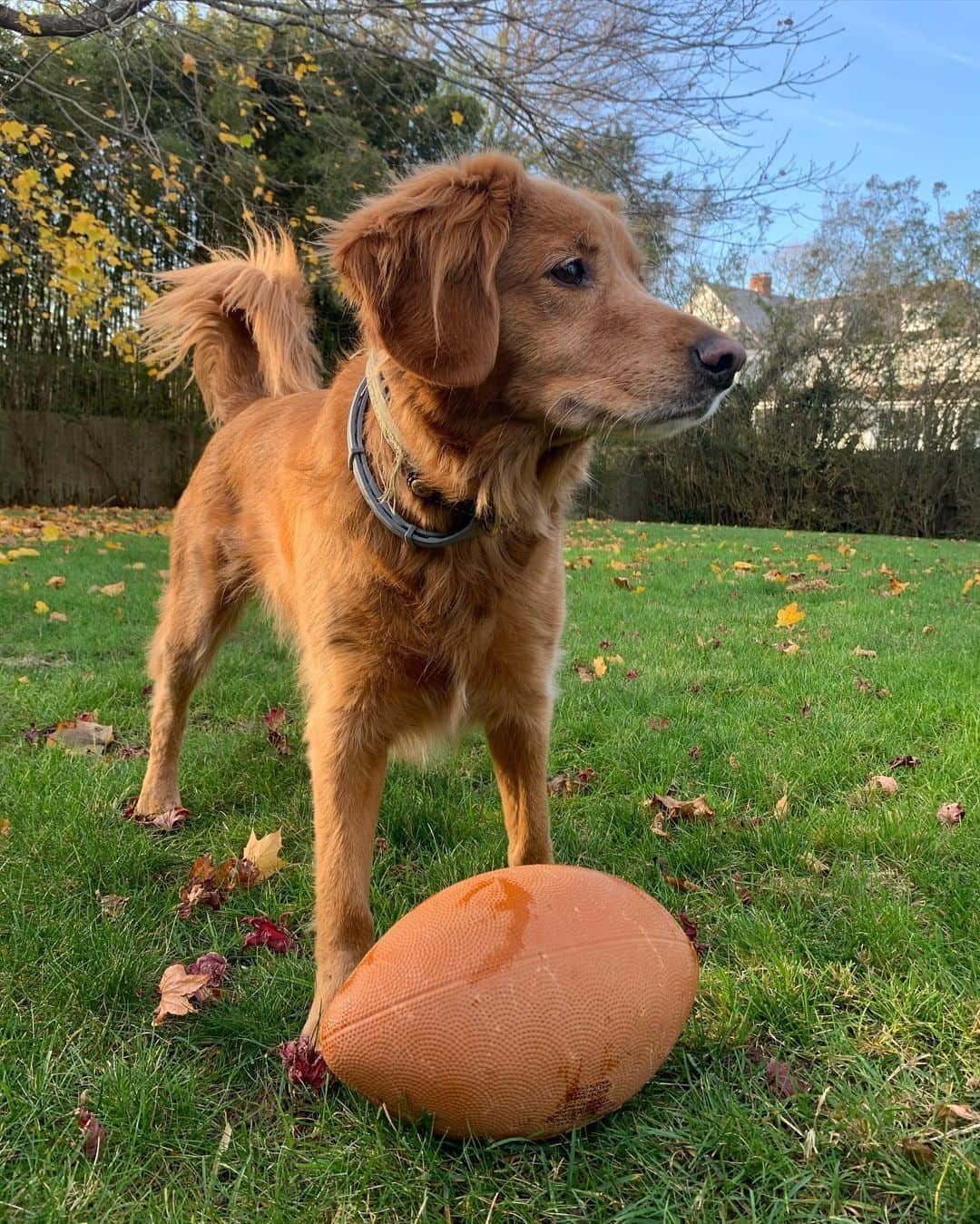 ニーナ・ガルシアのインスタグラム：「Play ball 🏈?」